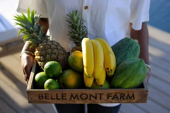 Belle_Mont_Farm_Fruit_Basket