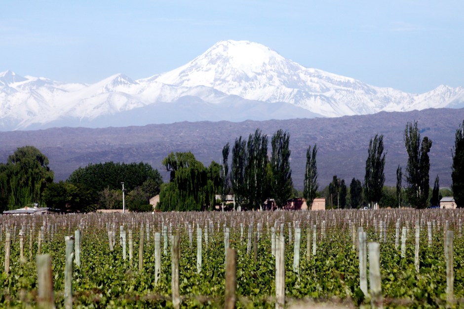 fc7d01e96d51cd2e93cd56bec907fd5b