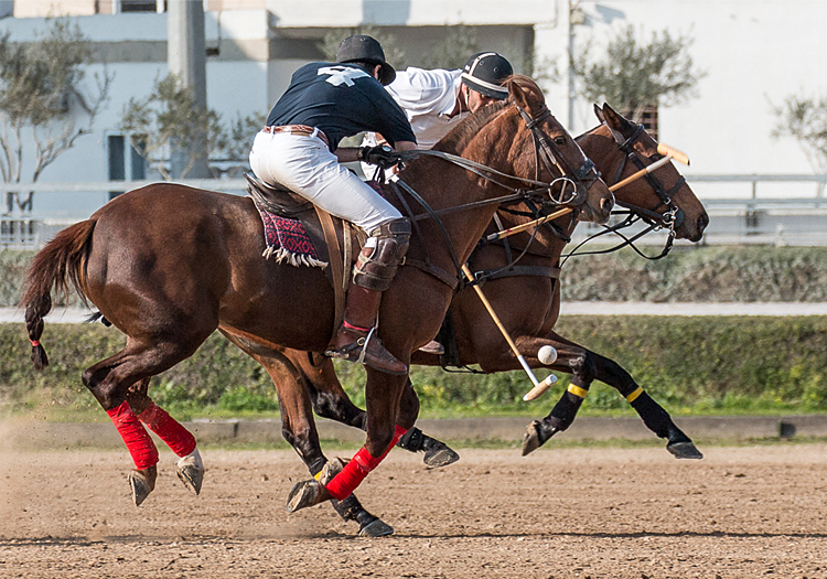 the-spencer-cup-2015-malta-polo-club